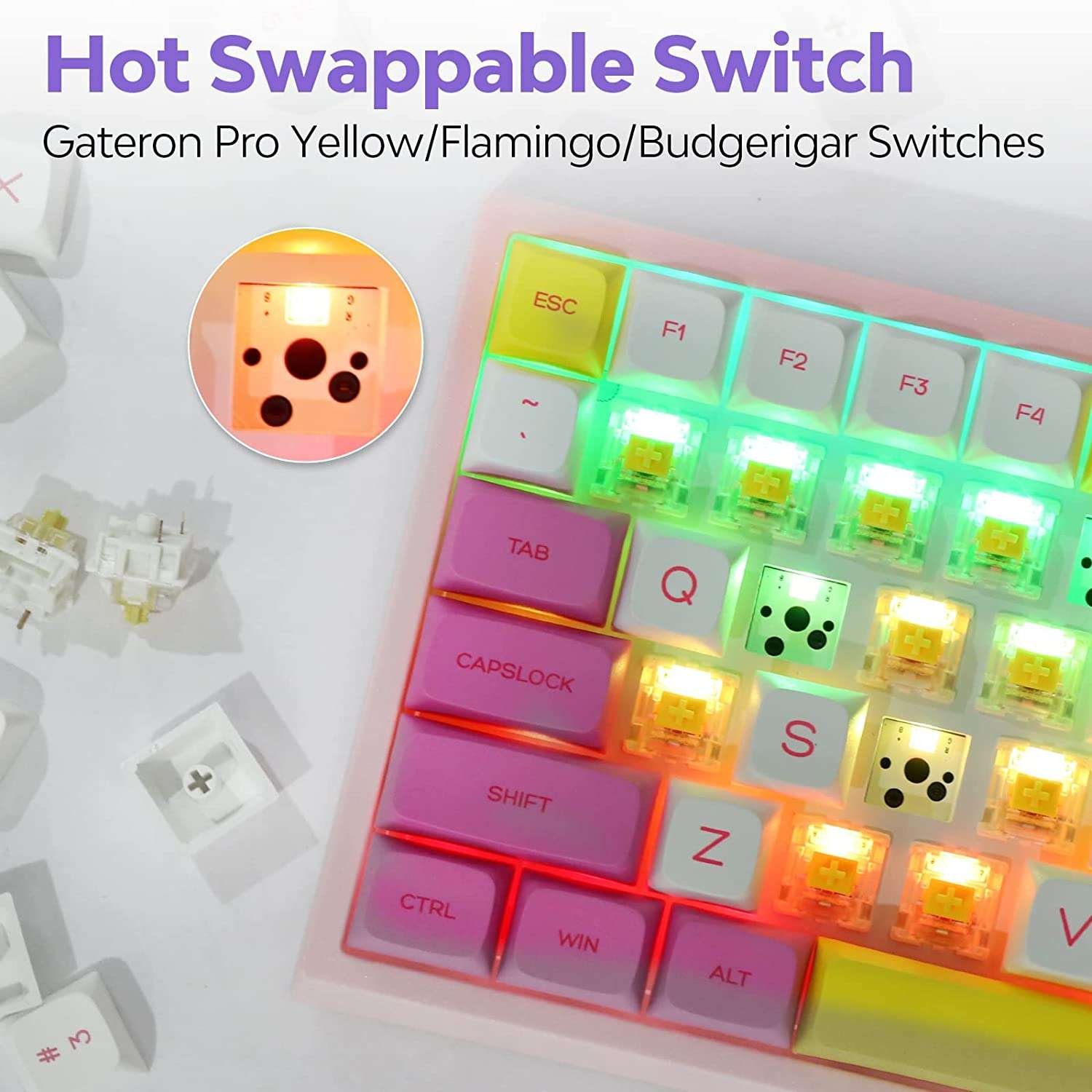 719rcf1+J4L._AC_SL1500_