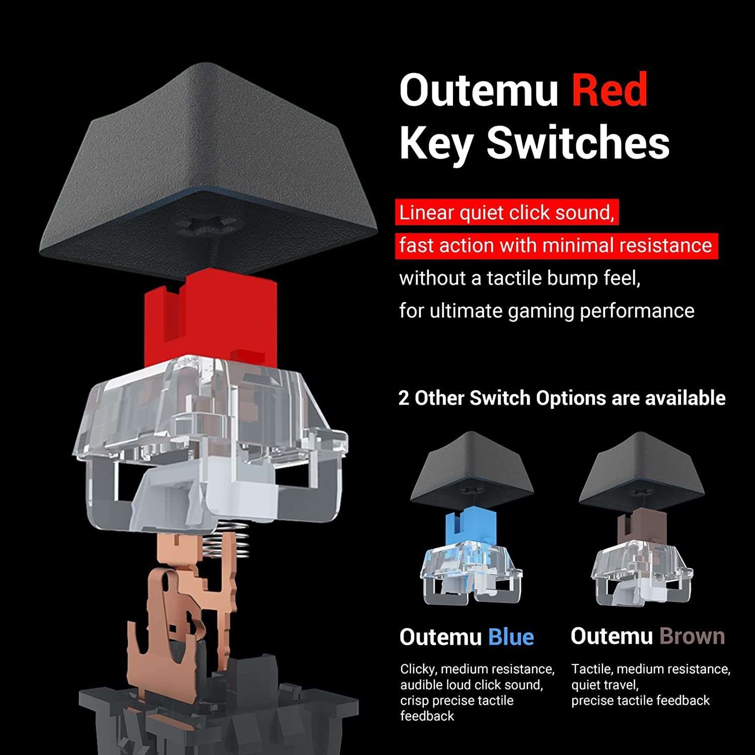 71lkgs4yzZL._AC_SL1500_